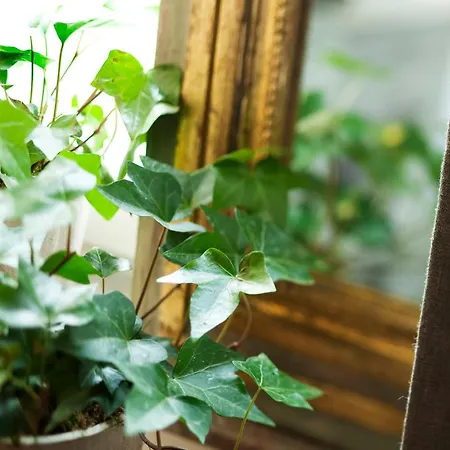 Chateau De La Marine 4* Wimille