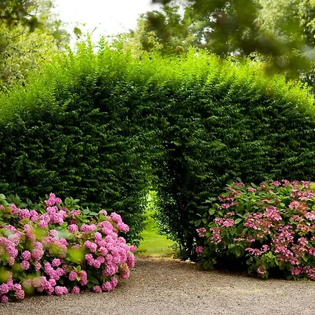 Bed & Breakfast Chateau De La Marine 4*