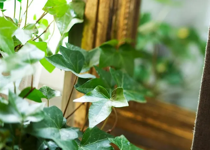 Chateau De La Marine 4* Wimille