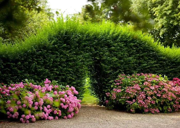 Oda ve Kahvaltı Chateau De La Marine 4*